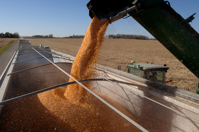 U.S. exporters report that China has rejected 1.45 million metric tons of corn, or 53 million bushels, that tested positive for the Agrisure Viptera MIR 162 trait. (DTN/The Progressive Farmer file photo by Jim Patrico)